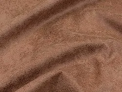 Cambridge (camel)